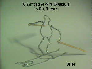 Skier